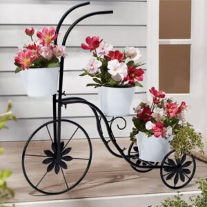 Plant display carts
