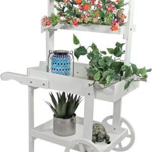 Flower Cart Display Stand with Wheels - Dessert Candy Cart - Market Flower Display Stand - 2 Shelves - Fir Wood - White