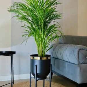 Decorative Metal Plant Stand Pot Holder Modern Black Gold Detail Vase 50x30cm - Black