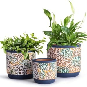3 Piece Ceramic Plant pots Indoor Pots Set with Drainage Holes, 5.7/4.7/3.5/inch, Modern Decorative pots Outdoor Plants Lilies, Cacti, Succulents, Snakes, and Bamboo